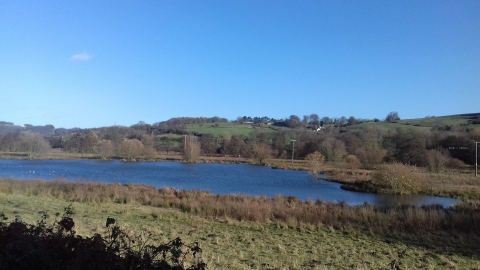 Wyver Lane nature reserve, Kaite Helps