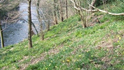 Derwentside, Derbyshire Wildlife Trust