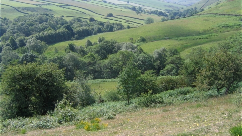 Long Clough, Sam Willis 