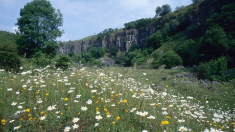 Miller's Dale Quarry, Mark Hamblin