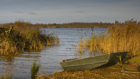 Willington Gravel Pits, Derbyshire Wildlife Trust 