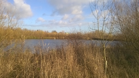 Witches Oak Water, Derbyshire Wildlife Trust