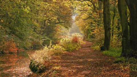 Cromford Canal, Ian Wilson