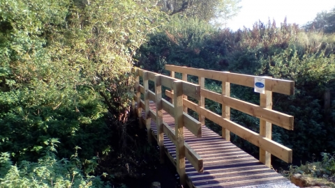 North Wingfield, Derbyshire Wildlife Trust