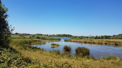 Willington Nature Reserve by George Bird