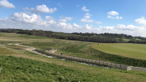 The Avenue Country Park