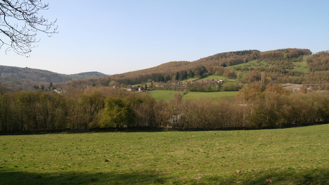 Church Chase Nature Reserve page