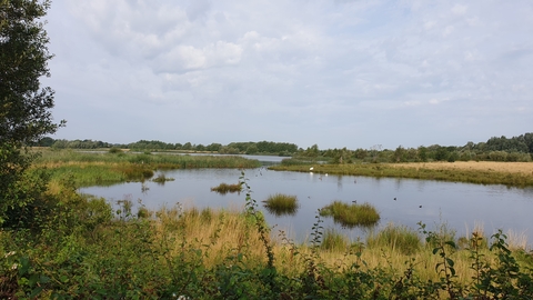 Willington Wetlands Nature Reserve