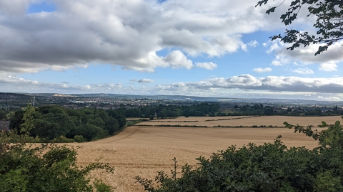 view of whittington