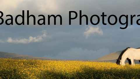 Photography by Guy Badham logo