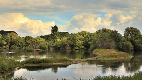 Landscape photo of Drakelow Nature Reserve