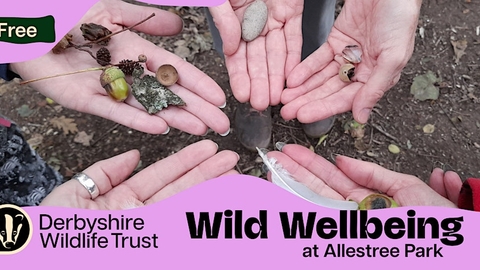 Hands in a circle with palms up with acorns and rocks and other natural items in their hands.