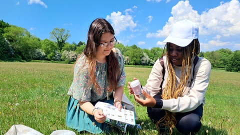Two students surveying for invertebrates in summer 