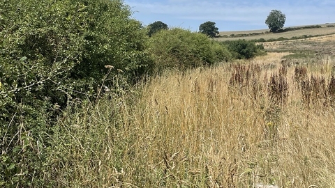 Space For Nature