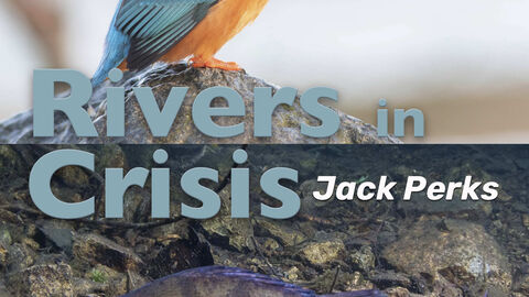 Rivers in Crisis
