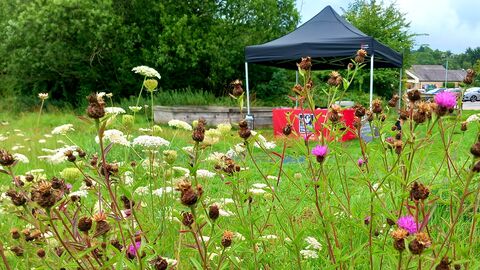 Peak Village Image 2025