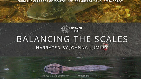 Balancing the Scales poster