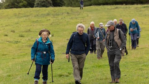 A group of people hike across a grassy field, some with walking sticks and backpacks.
