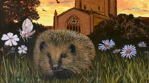 Hedgehog painting in chesterfield