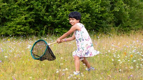 Girl waving a sweep net in a meadow.