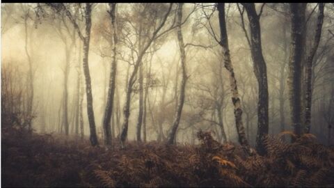 Andy Gray Fine Art Landscape Photography Exhibition