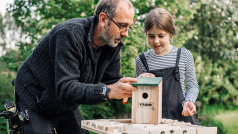 Bat Box Making
