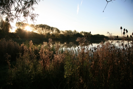 Carr Vale Nature Reserve, Guy Badham