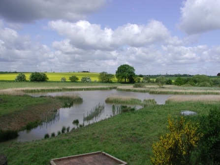 Carr Vale, Derbyshire Wildlife Trust