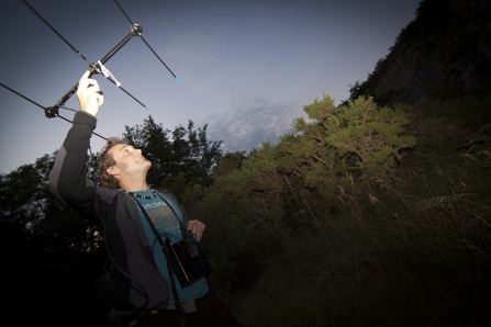 Bat surveyor, Tom Marshall