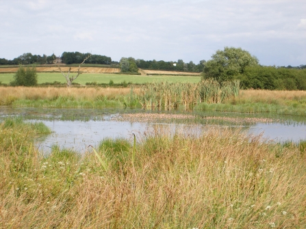 Erewash Meadows, Kate Lemon 