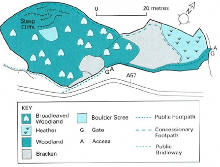 Ladybower Wood reserve map