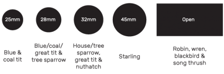 Nest box size