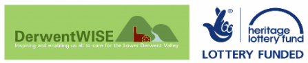 DerwentWISE logo
