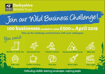 Wild Business Challenge 