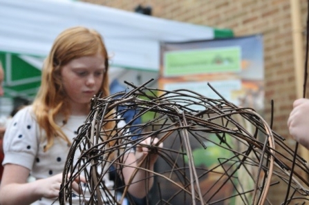 Willow making Jo Wheeler