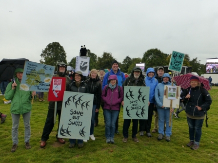 Nick Brown - right Save our Swifts