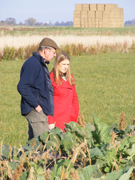 Nicholas Watts, Vine House Farm by Anna Guthrie