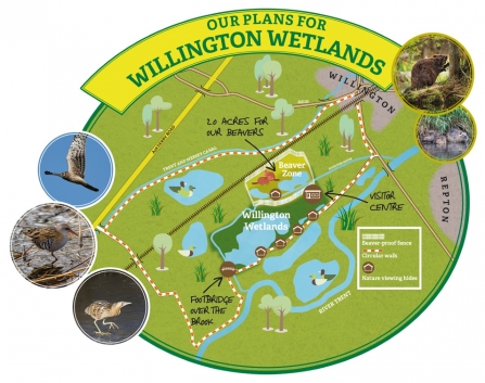 Willington Wetlands
