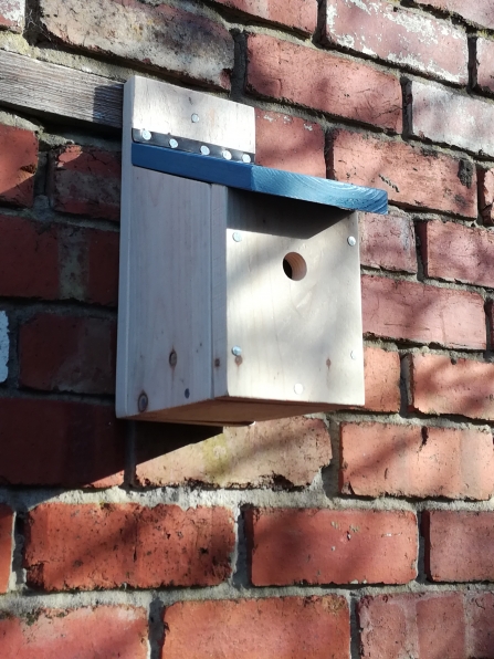 Blue tit box