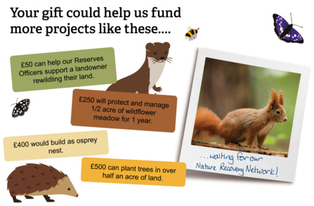 Donation illustration thornhill