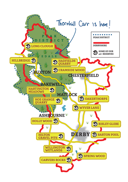 Thornhill map