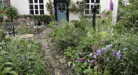 Wildlife Gardening