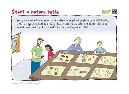 Activity Sheet - Nature Table