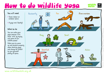 Activity sheet - yoga