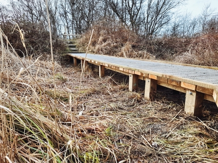 Avenue Washlands boardwalk