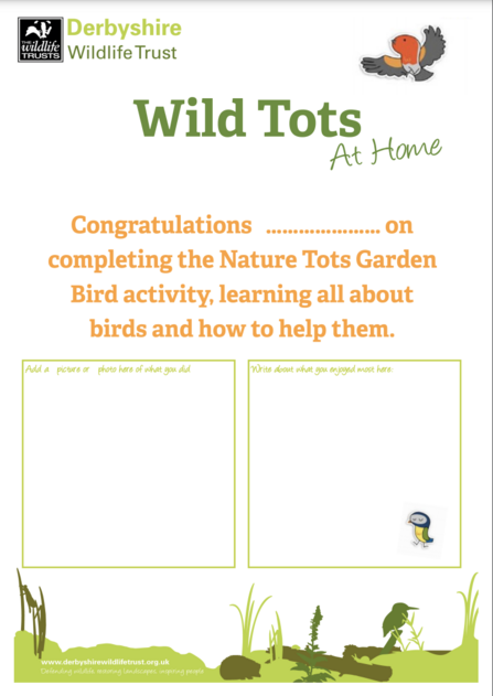 Wild Tots certificate