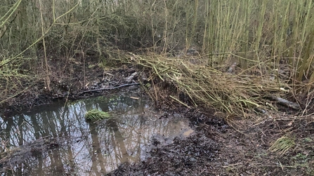 Leaky willow barrier, Woodside Farm, Kate Lemon