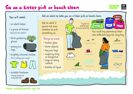 Activity Sheet - Litter Pick