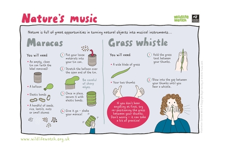 Activity Sheet: Nature's Music