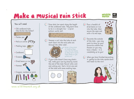 Activity Sheet: Rain Stick